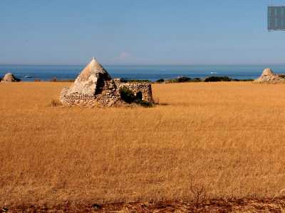 Il nostro viaggio inizia dalle frazioni a nord del centro. Superato il confine con Cozze, si apre un tratto di territorio praticamente disabitato, dove a dominare sono una serie di suggestivi trulli in pietra che risaltano su una distesa di terra rossa e colorati campi coltivati. 
� il cosiddetto �parco dei trulli�...(foto di Antonio Caradonna)
